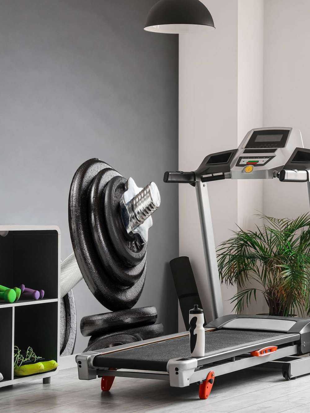 Dumbell with black discs