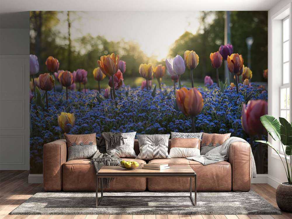 Cheerful tulip field