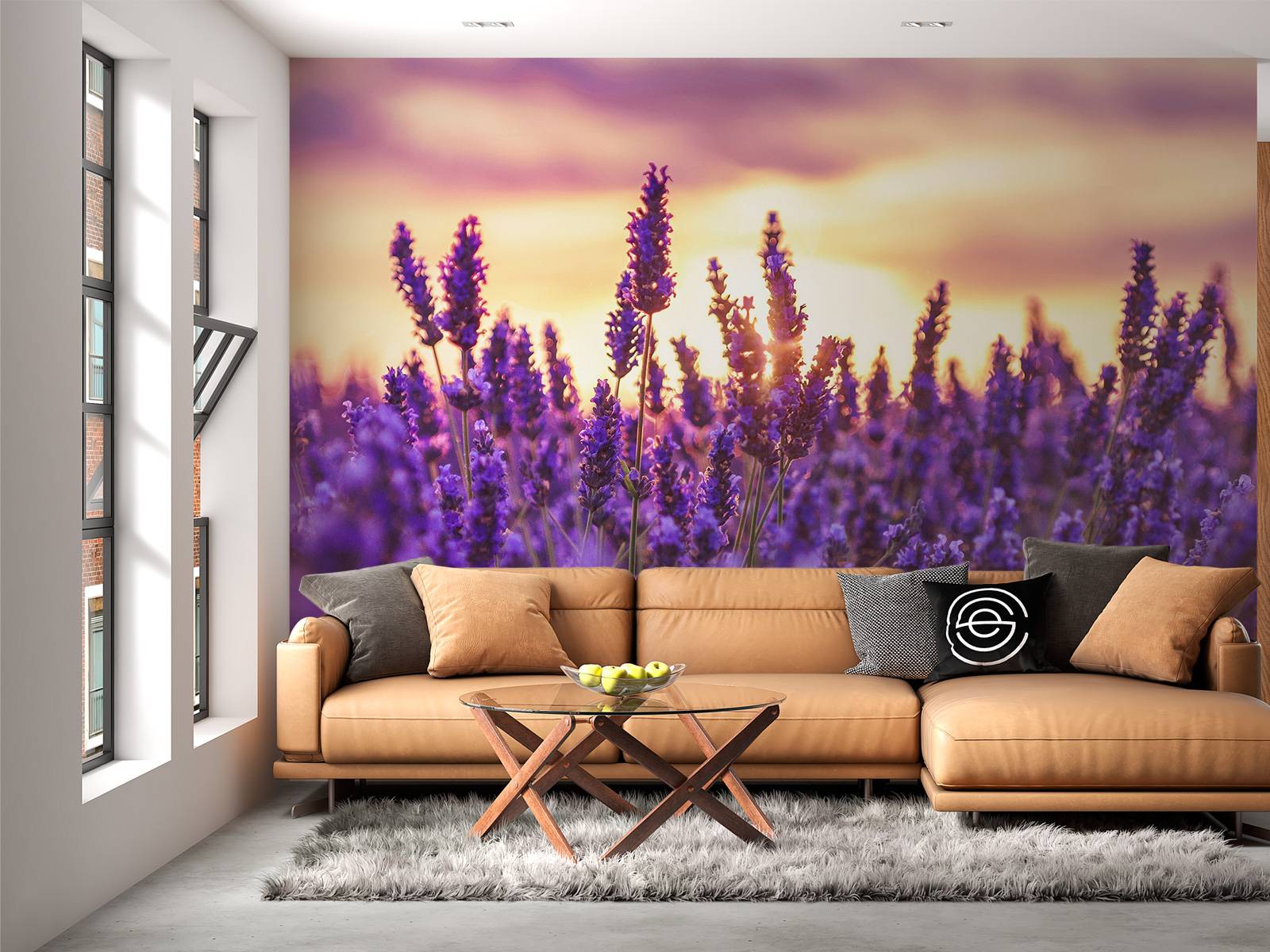 Lavender flowers