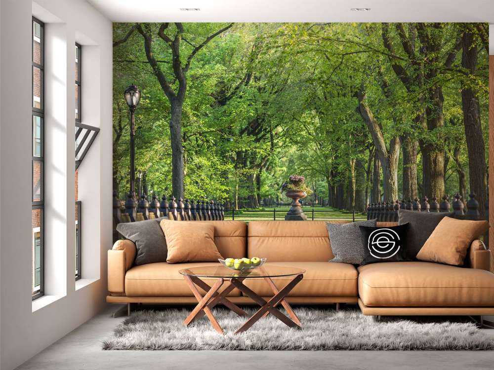 Path in Central Park