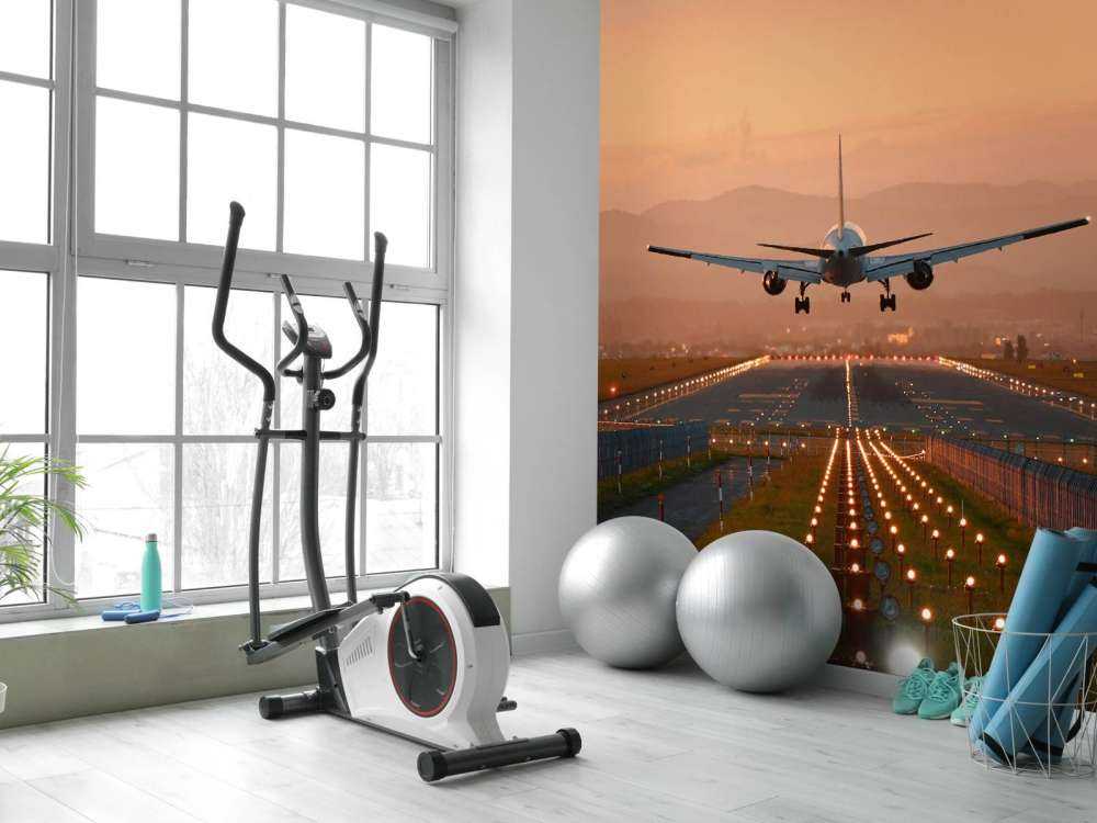 Landing plane in the evening sun