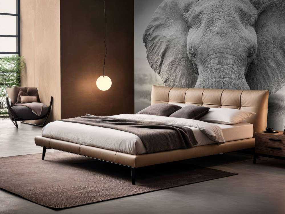 Elephant black and white