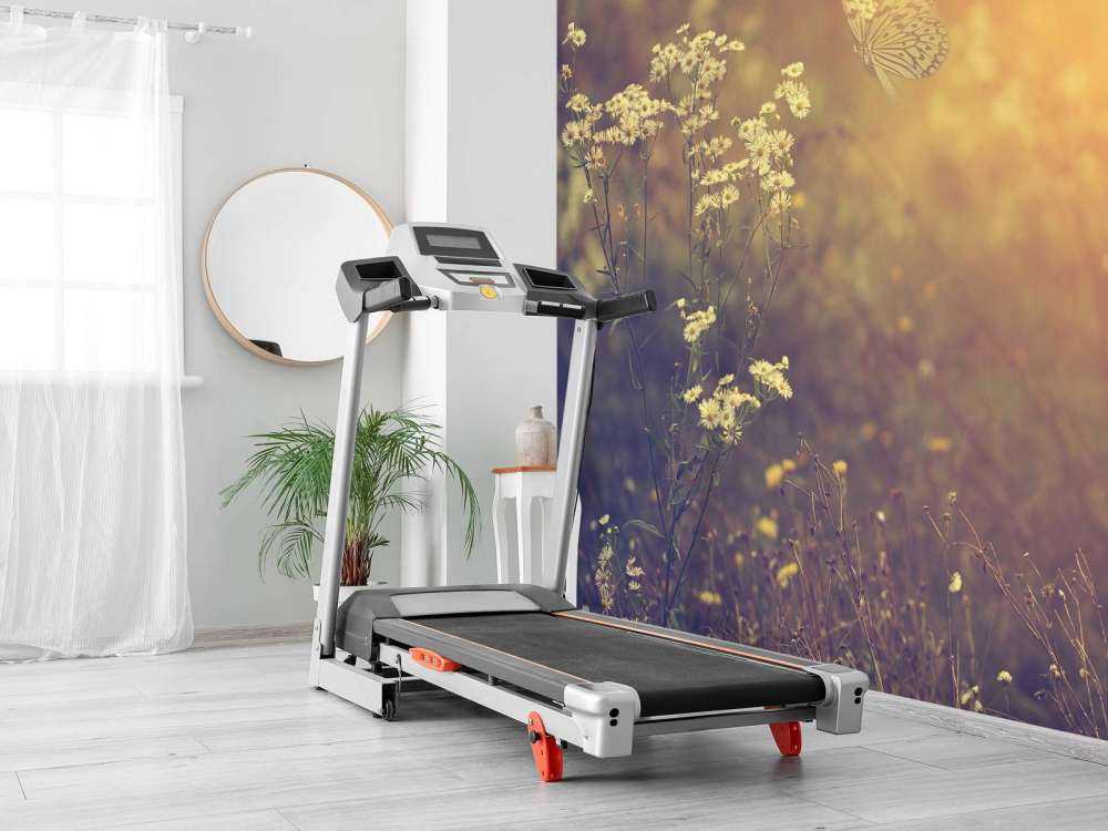 Butterfly with flowers