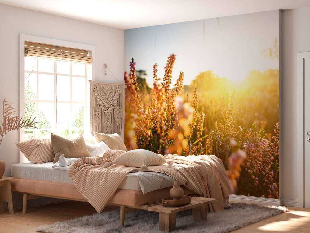 Close-up heather plant