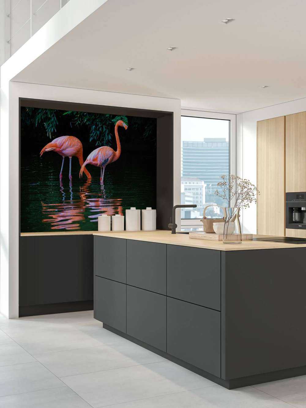 Two Caribbean flamingos