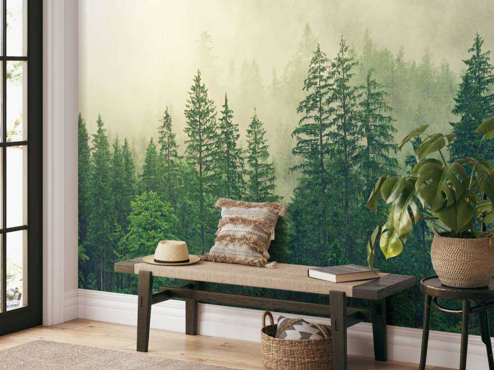 Pine trees in the fog