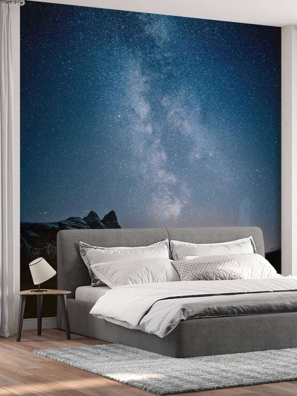 Starry sky in Alaska