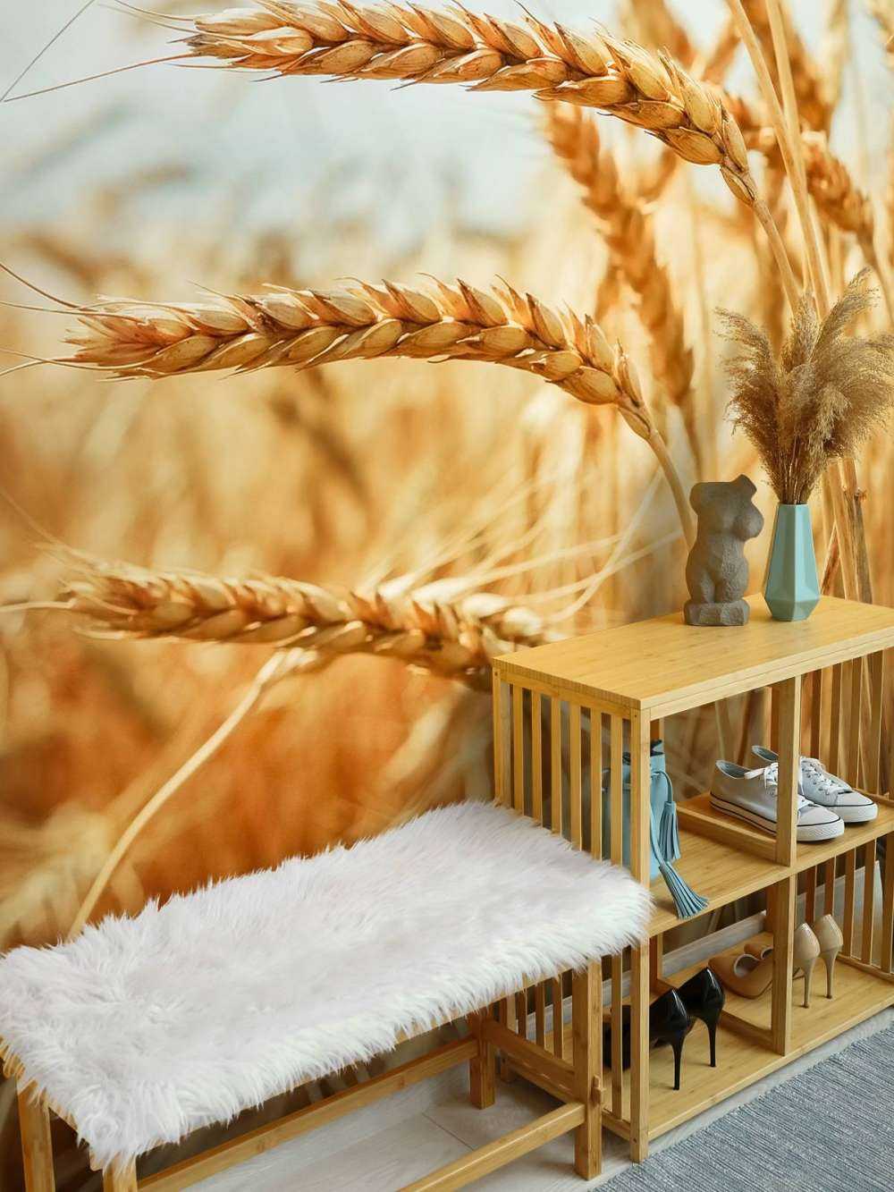 Close up of a cereal plant