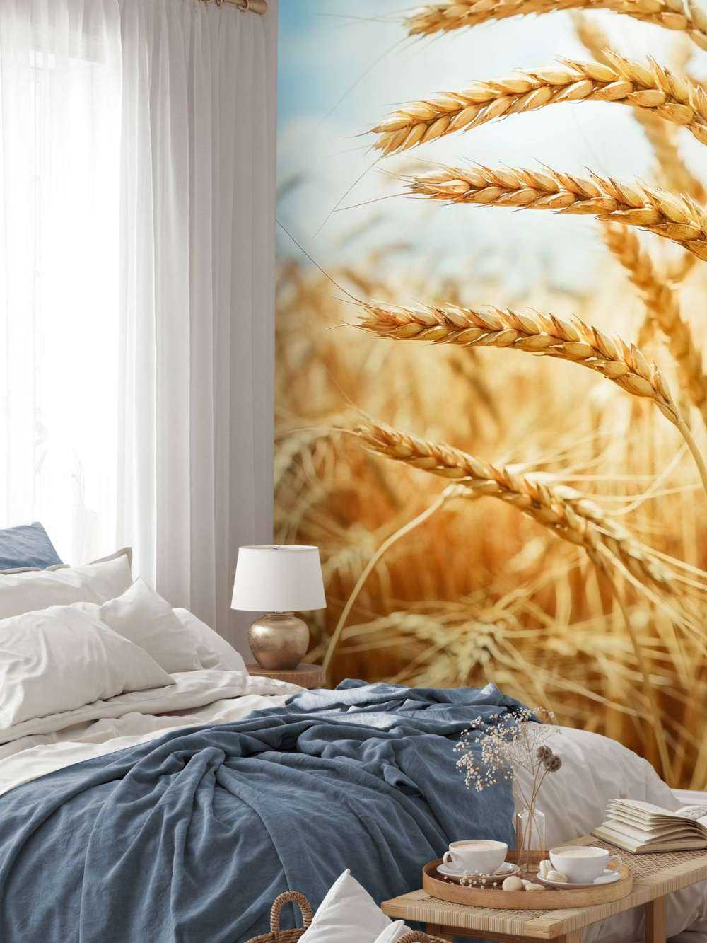 Close up of a cereal plant