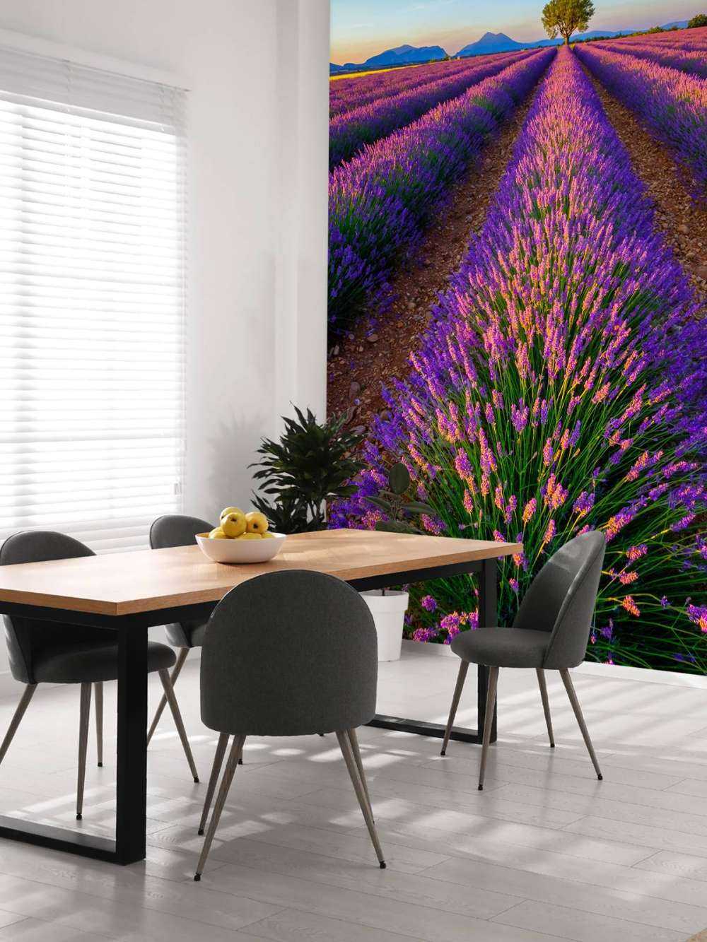 Lavender in sunlight