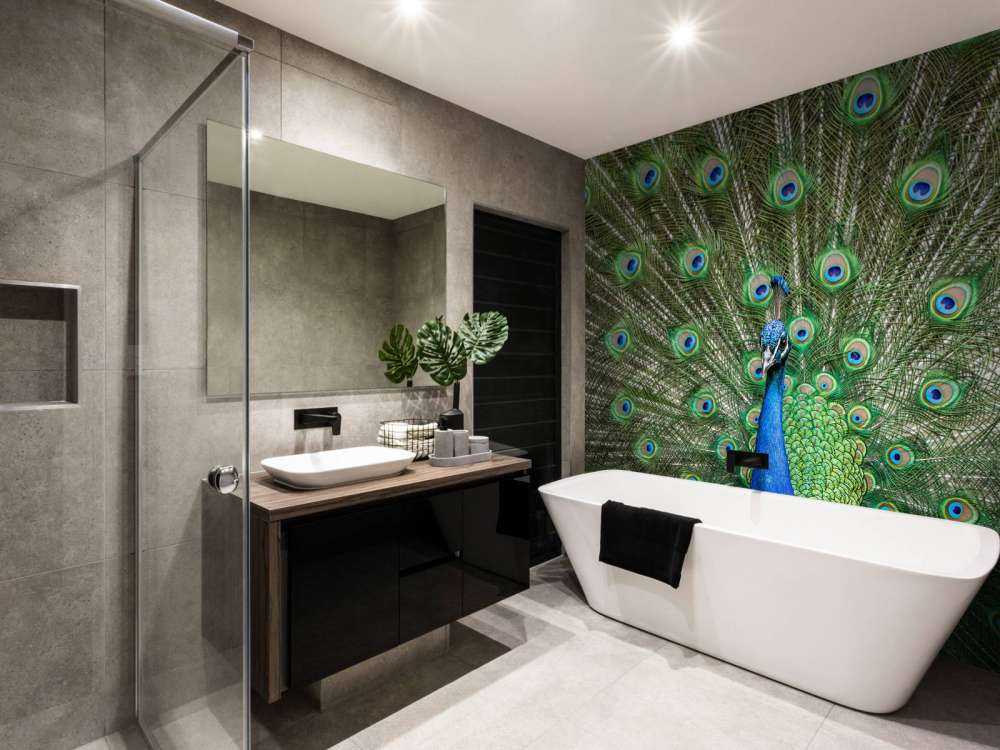 Peacock with dilated feathers