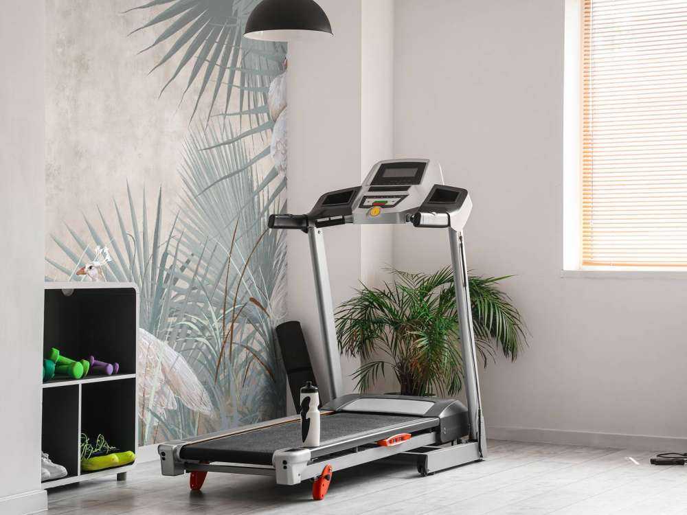 Peacocks in the tropics