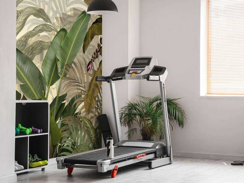 Plants in the jungle