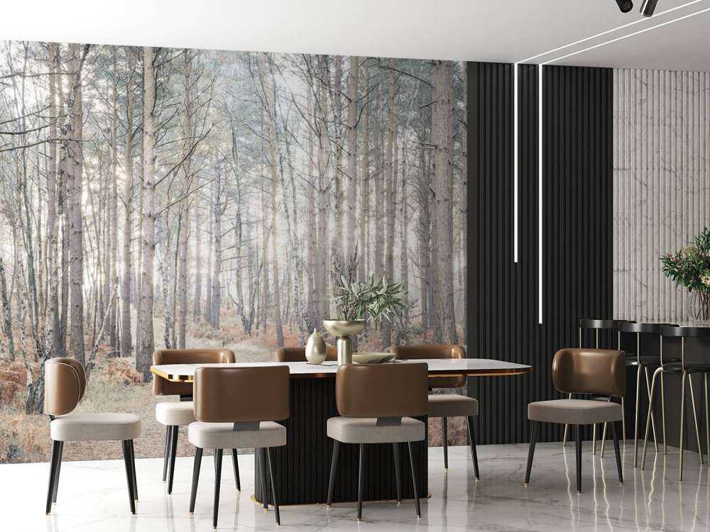 Sand path through forest