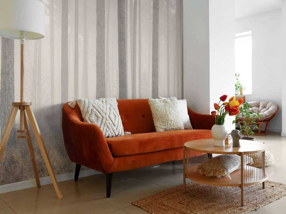 Misty mysterious forest