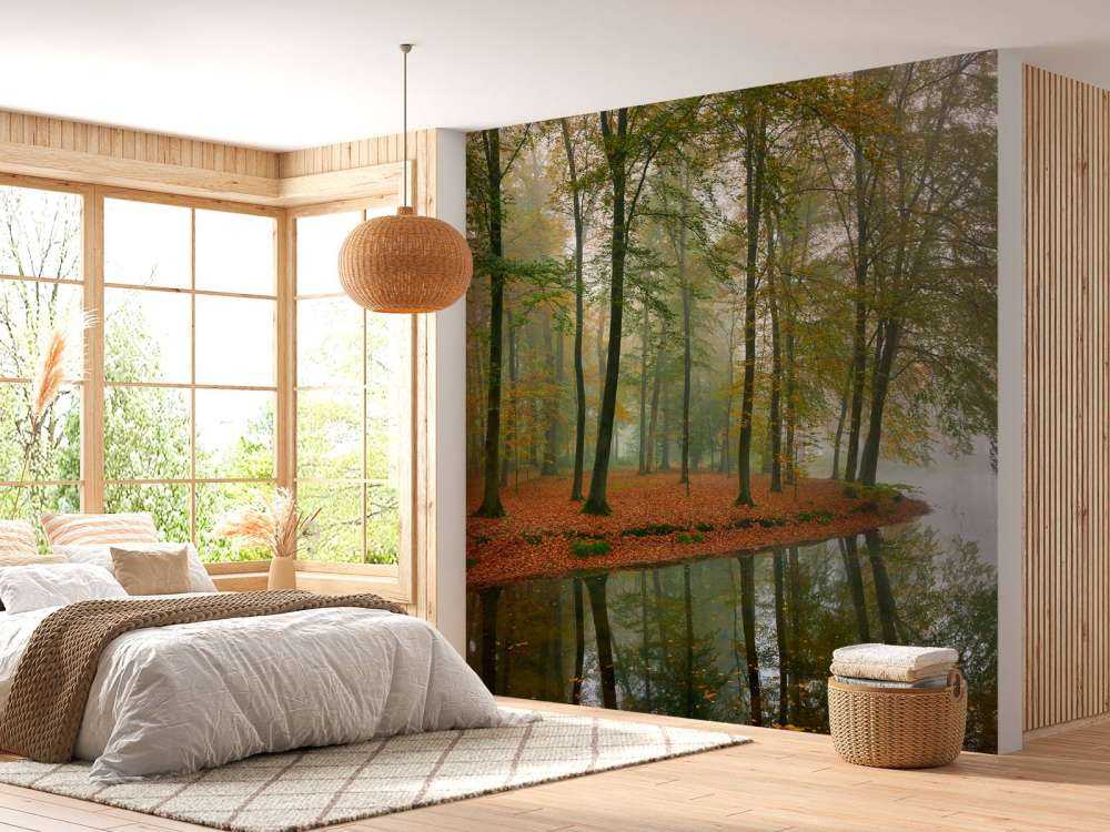 Reflection of trees in pond