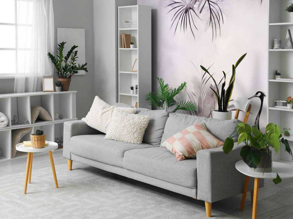 Cranes in Field White