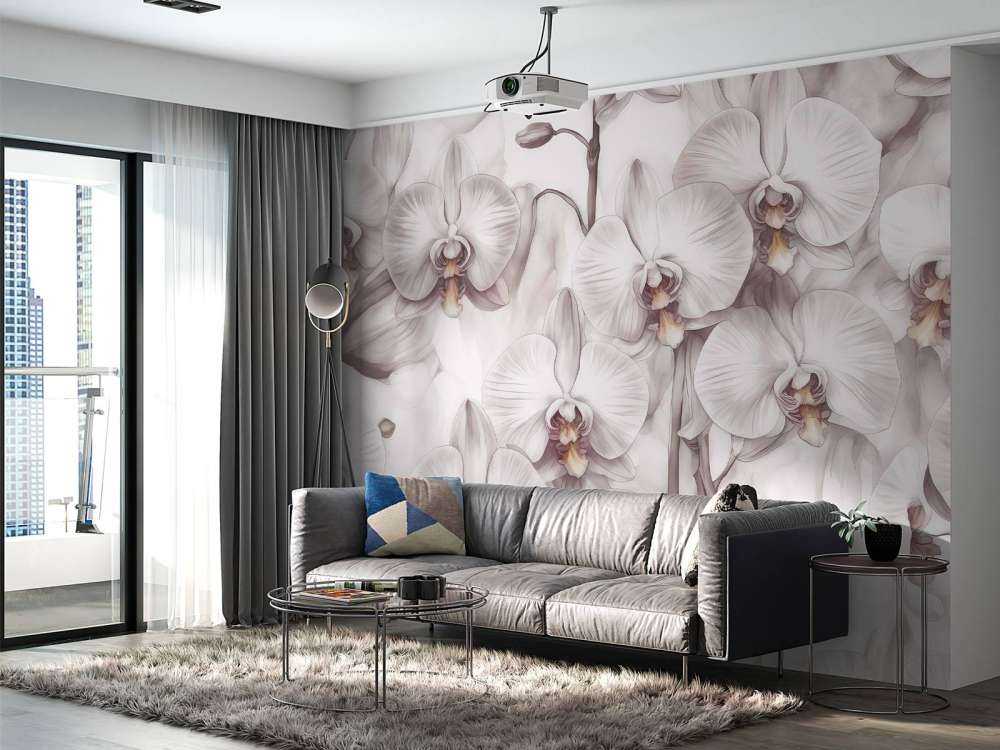 Orchids Paradise Red