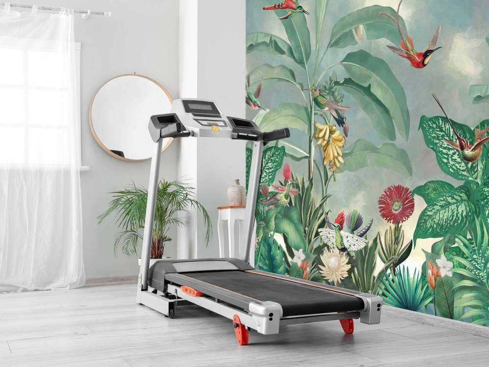 Hummingbird Paradise