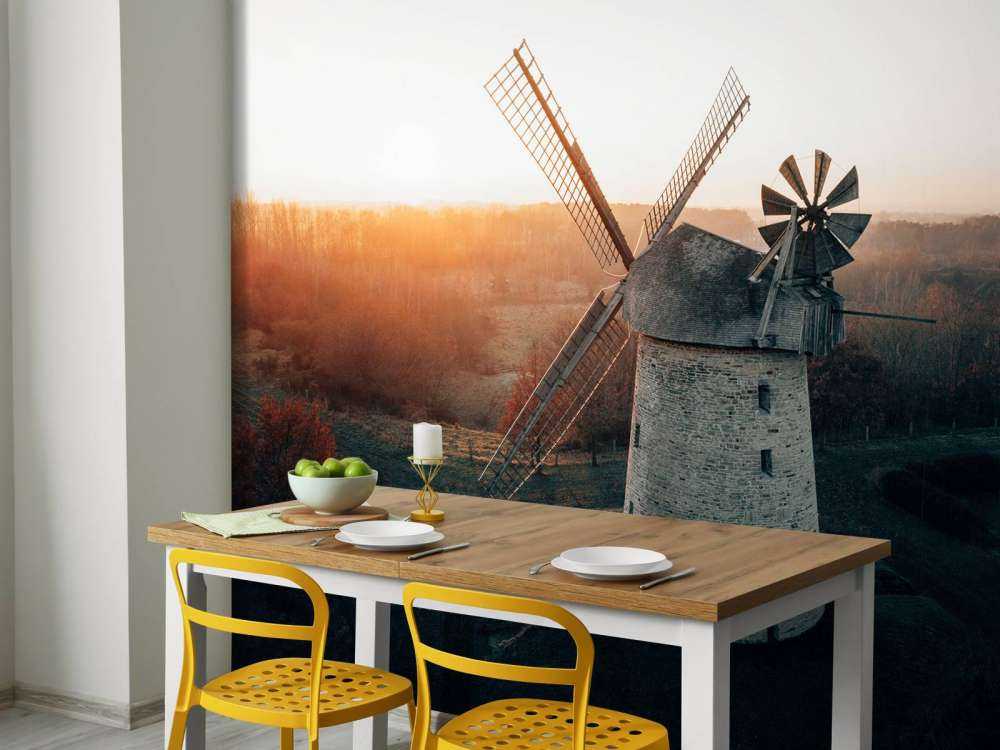 Windmill in beautiful light at sunset