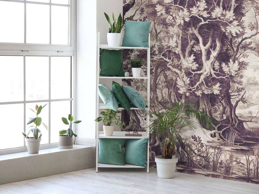 Mystical Forest in Sepia