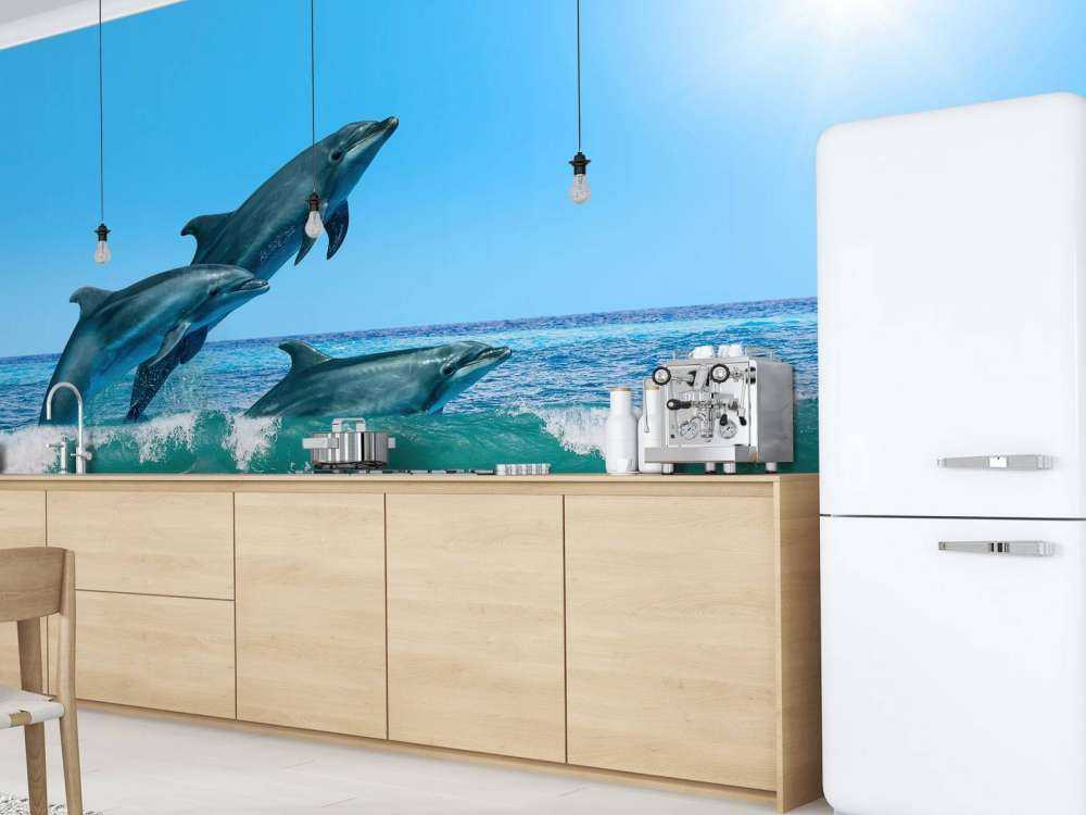 Dolphins at the coast