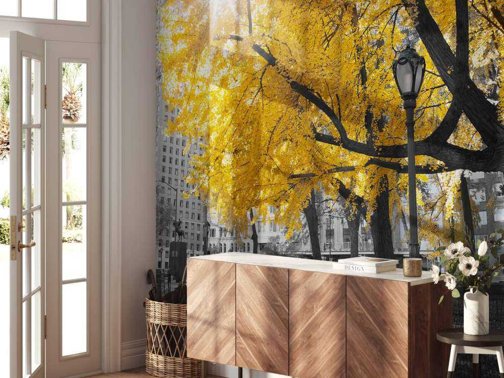 A path through Central Park