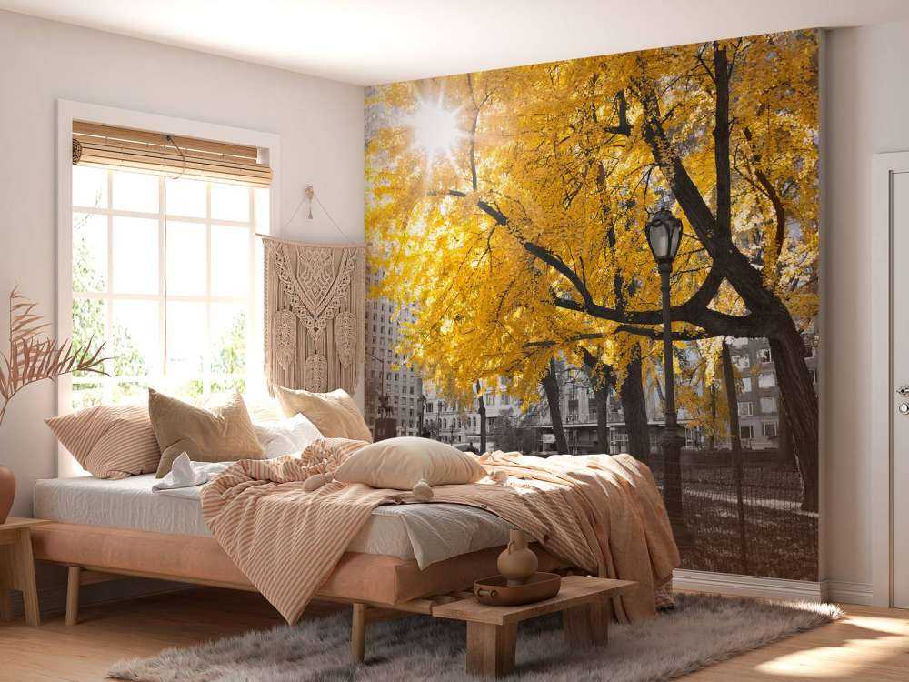 A path through Central Park