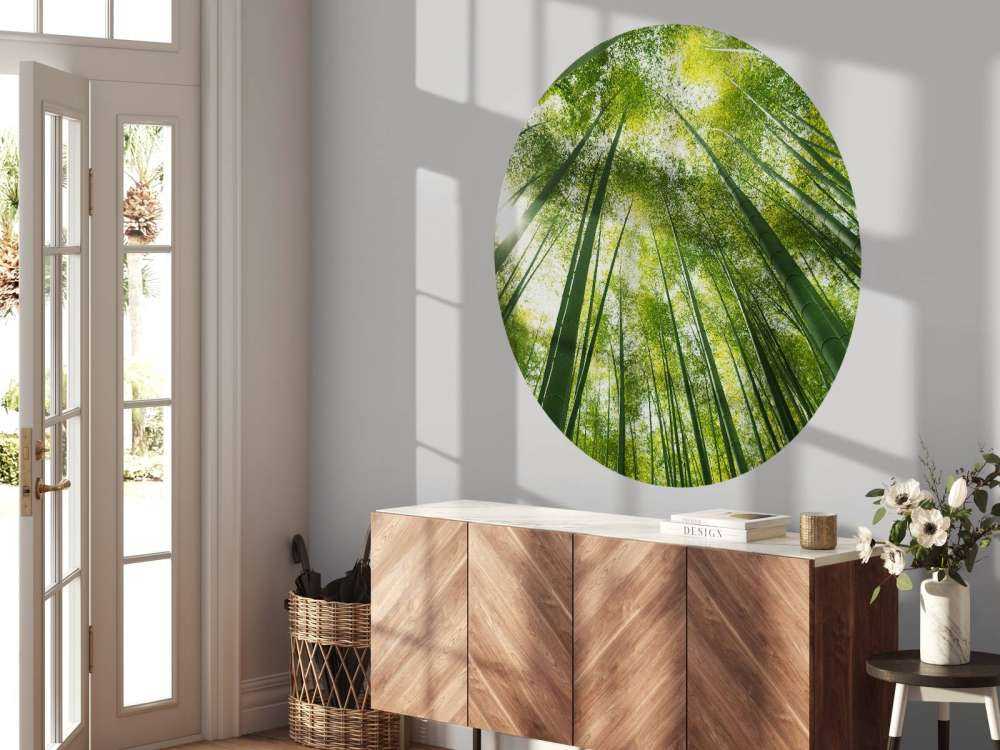 Bamboo forest in Japan