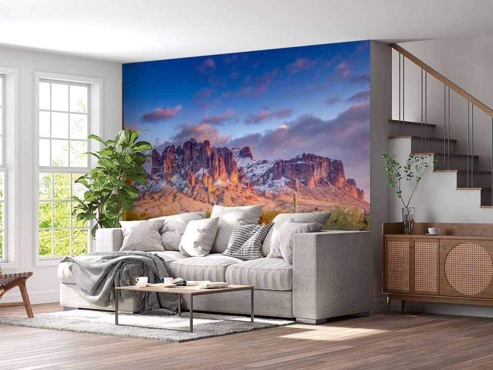 Cactus in a mountain landscape