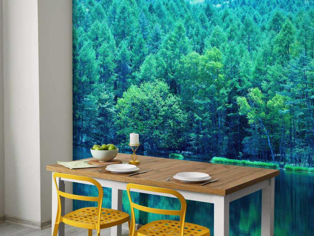 Lake in the green forest