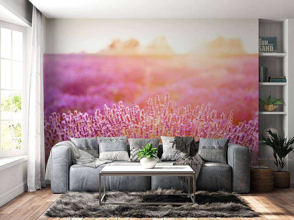 Close-up lavender flowers