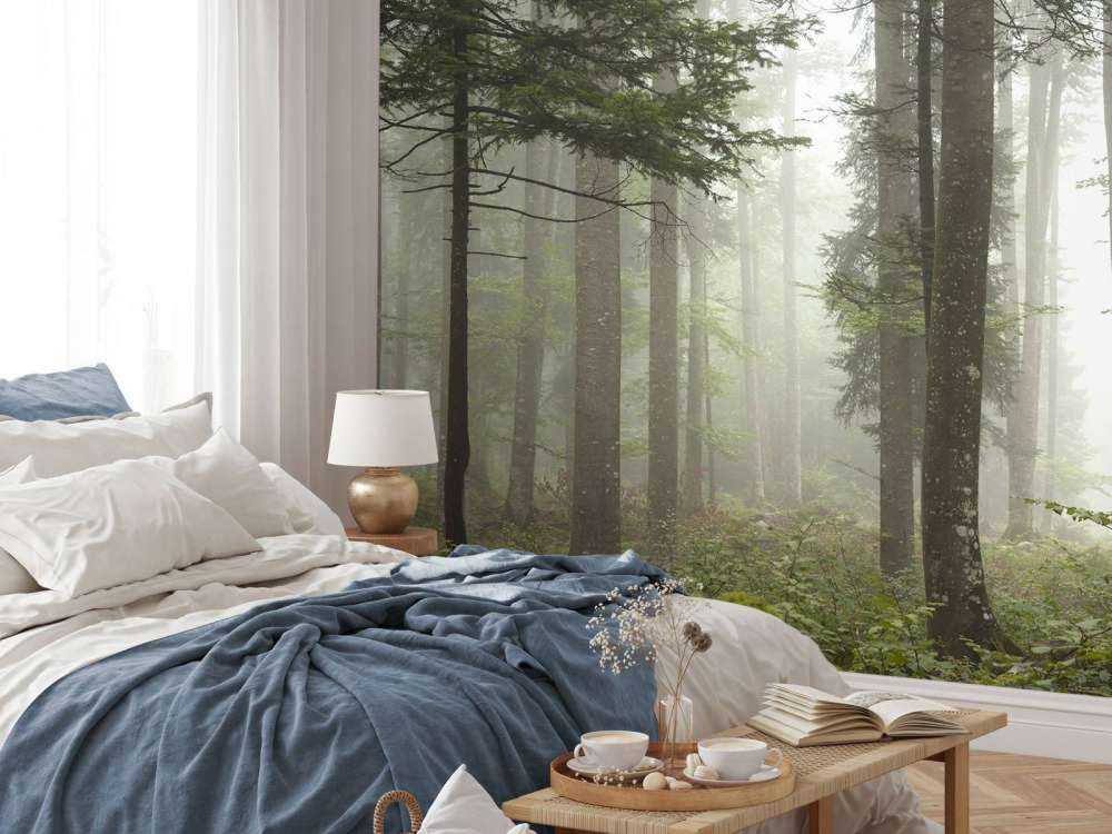 Beautiful foggy landscape