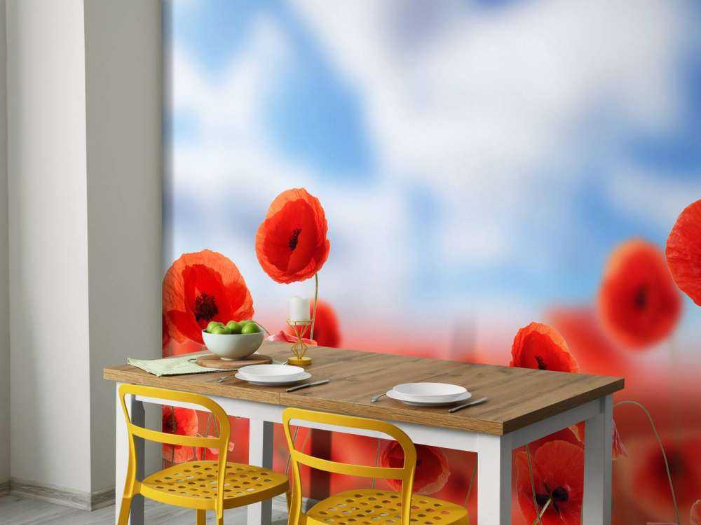 Blue Sky and Red Poppies