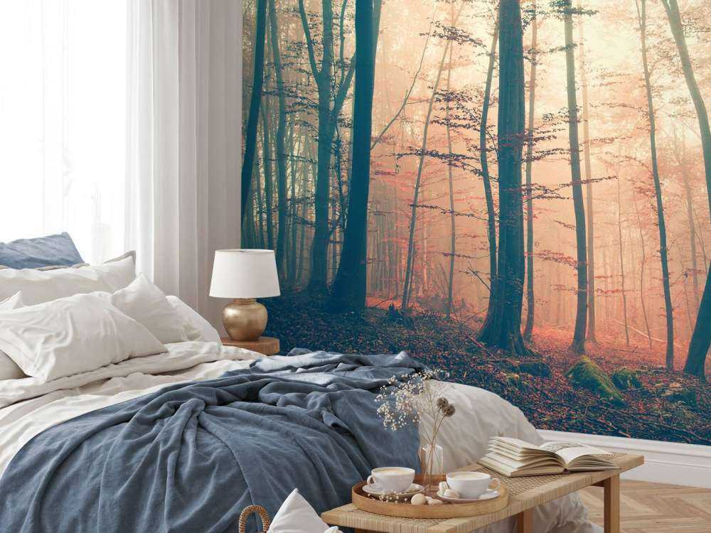 Vintage color forest