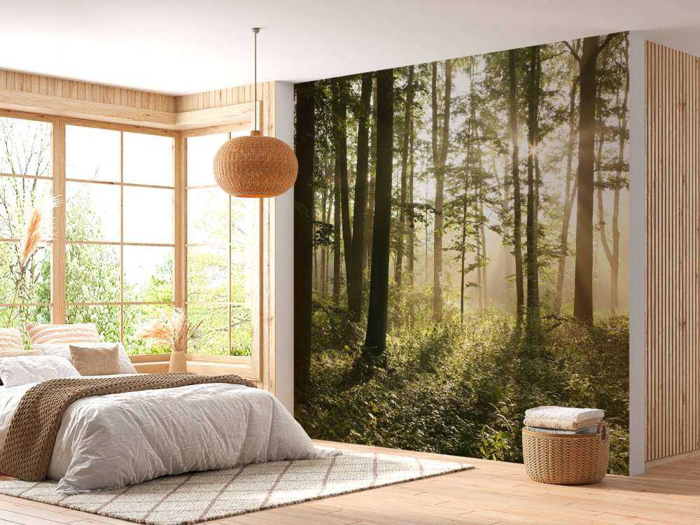 Foggy deciduous forest