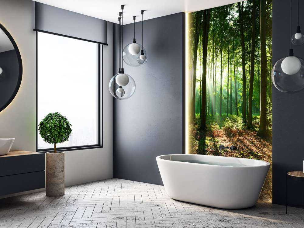 A morning in the forest