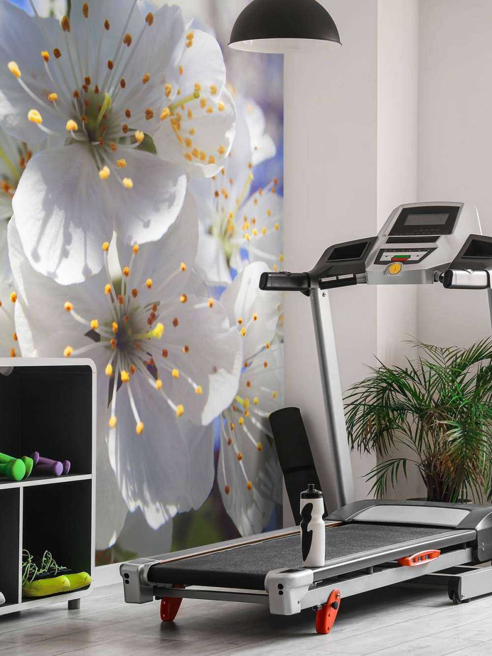 Close-up white blossoms