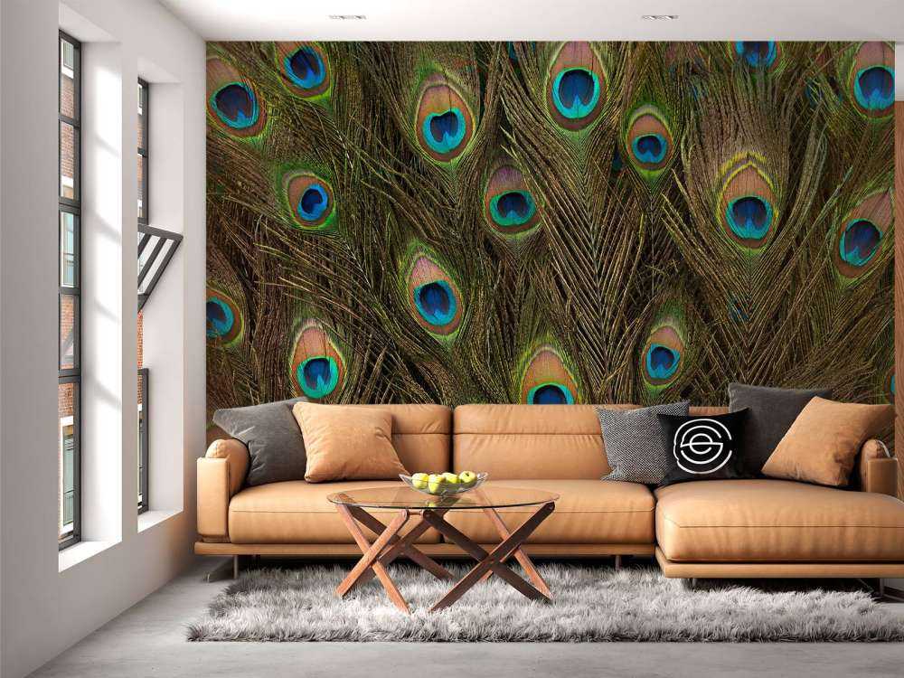 Peacock Feather Wallpaper Mural