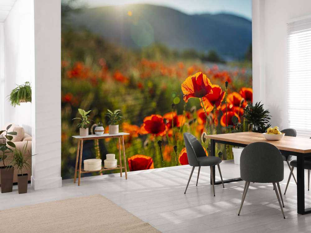 Poppies with sunbeams