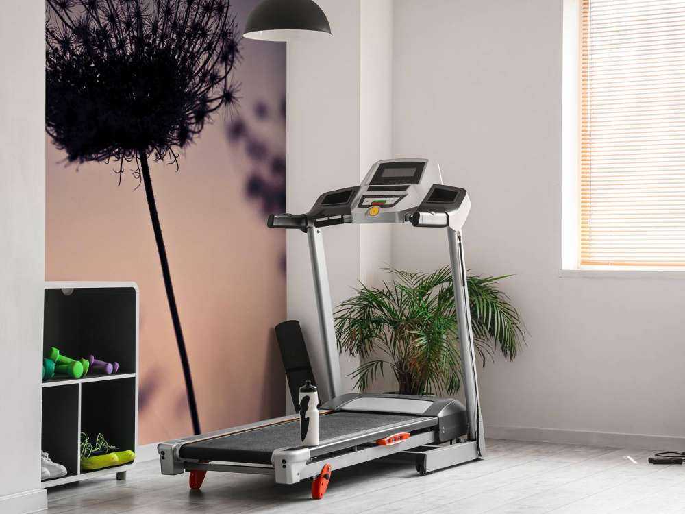 Silhouette of flowers