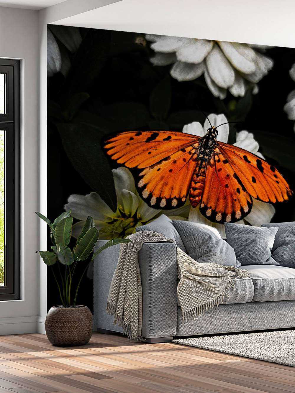 Monarch butterfly on a flower