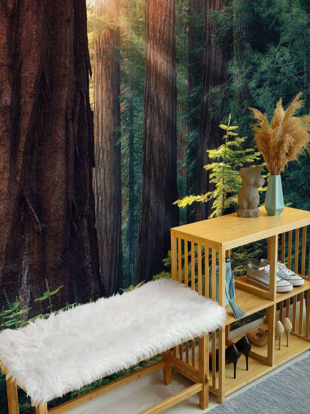 Sunlight between the mahogany trees