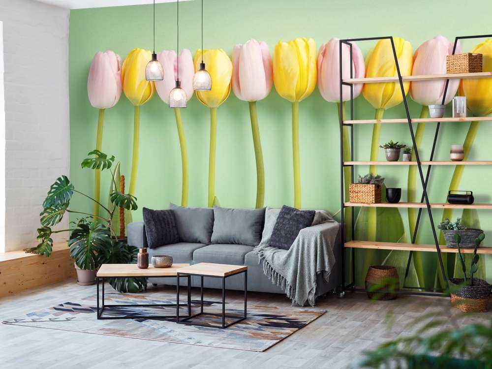 Tulips on mint green background