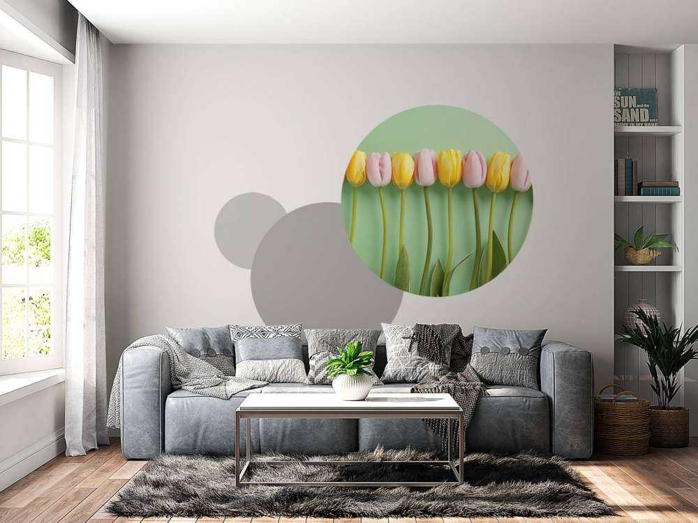 Tulips on mint green background