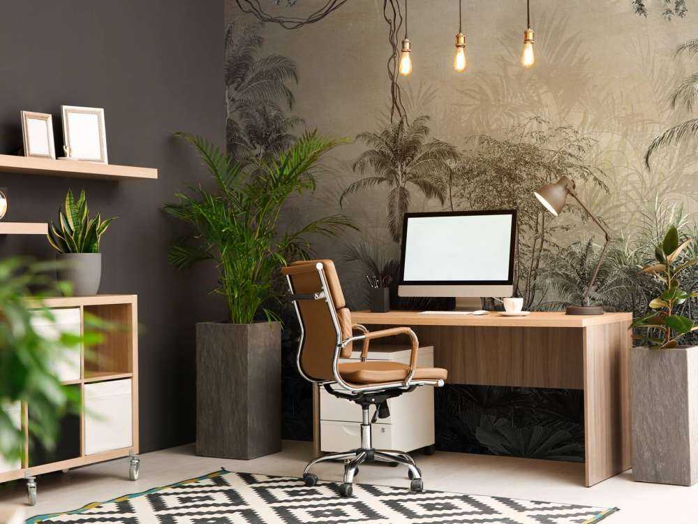 Tropical forest in mist