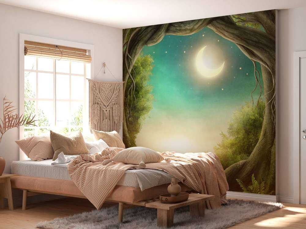 The enchanted forest