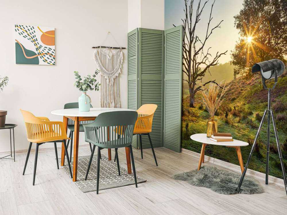 Rising sun on the heath