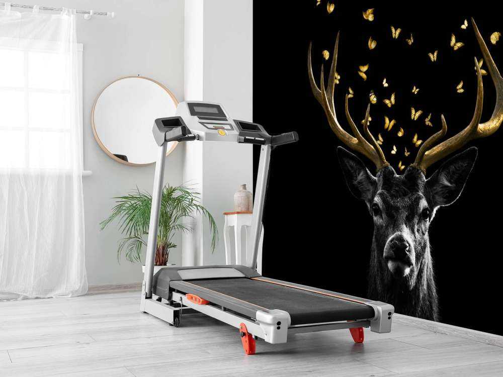 Golden Deer