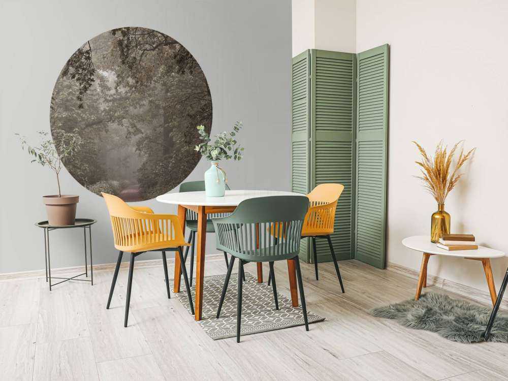 Path through misty forest